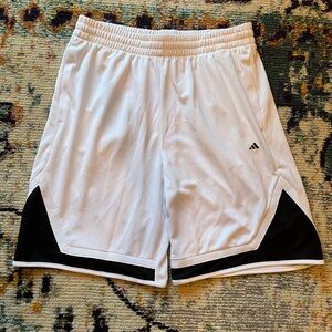 Adidas Men's Shorts